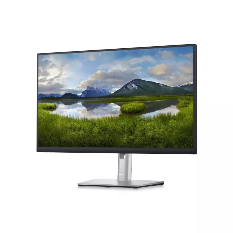 Monitor DELL P2423D 23.8 inch LCD Quad HD 2560 x 1440