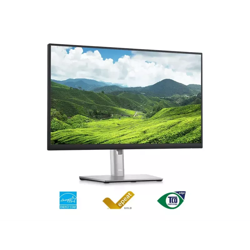 Monitor DELL P2423D 23.8 inch LCD Quad HD 2560 x 1440