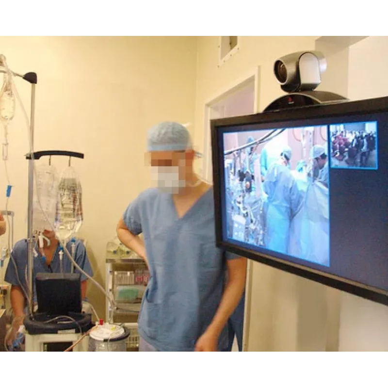 ERGOTRON Interactive Arm Hd (polished Aluminum)