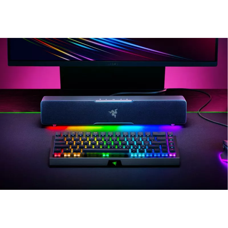 RAZER Leviathan V2 X - Pc Gaming Sound Bar - Black