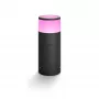Philips Hue White and colour ambience Calla Outdoor pedestal