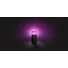 Philips Hue White and colour ambience Calla Outdoor pedestal