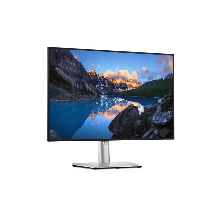 DELL UltraSharp U2421E computer monitor 61.2 cm (24.1 inch) 1920 x 1200 pixels WUXGA LCD Silver