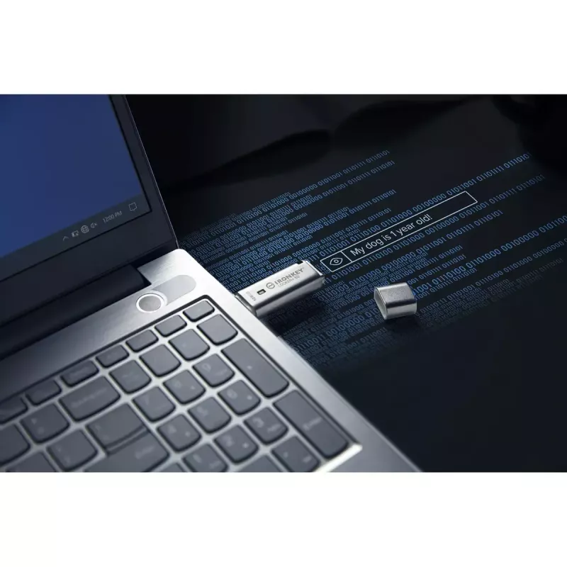 Kingston Technology IronKey 128GB IKLP50 AES USB, w/256bit Encryption