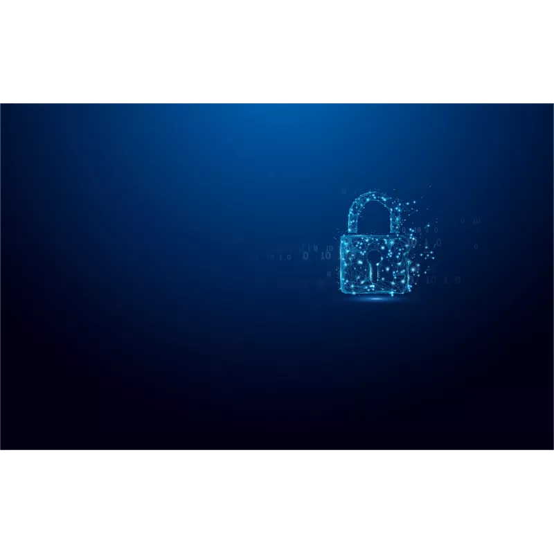 Kingston Technology IronKey 32GB USB-C Vault Privacy 50C AES-256 Encrypted, FIPS 197