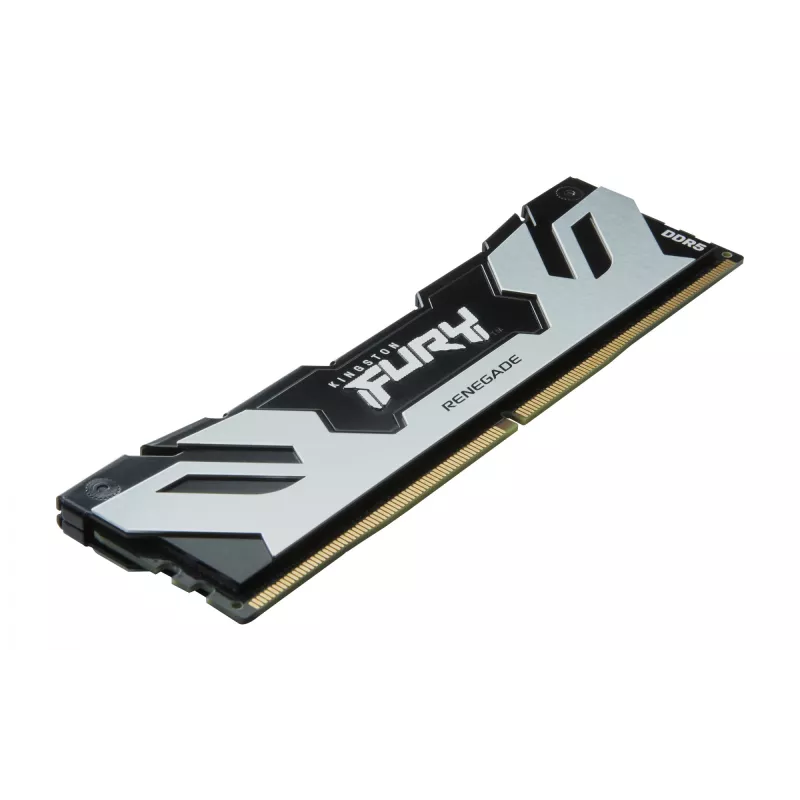 Kingston Technology FURY 32GB 6400MT/s DDR5 CL32 DIMM (Kit of 2) Renegade Silver