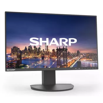 Sharp MultiSync EA242F computer monitor 24 inch Full HD 1920 x 1080 LCD Black