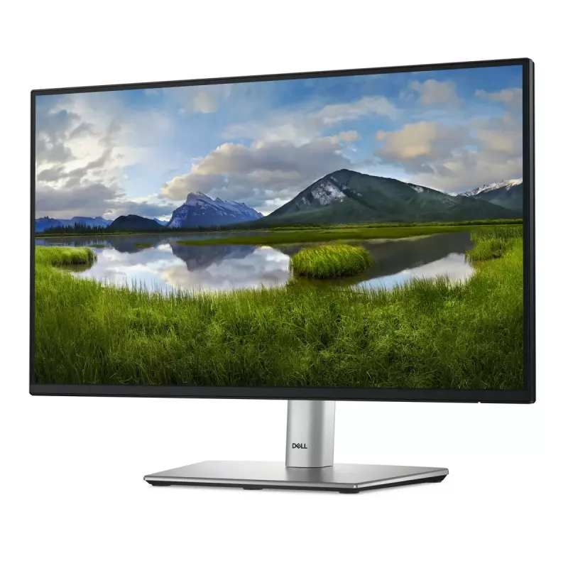 DELL P Series P2225H computer monitor 54.6 cm (21.5 inch) 1920 x 1080 pixels Full HD LCD Black, Silver