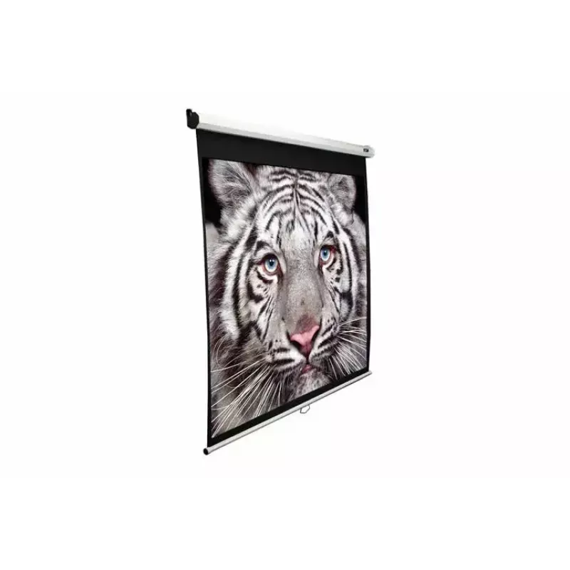 Projection screen Elite Screens M99UWS1