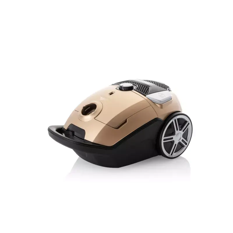 ETA Avanto ETA351990000 Bagged Vacuum Cleaner, 800 W, 3 L dust bag, HEPA H12, 68 dB, Golden