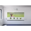 Epson EB-1485Fi Ultra short throw projector 5000 ANSI lumens 3LCD 1080p (1920x1080) White