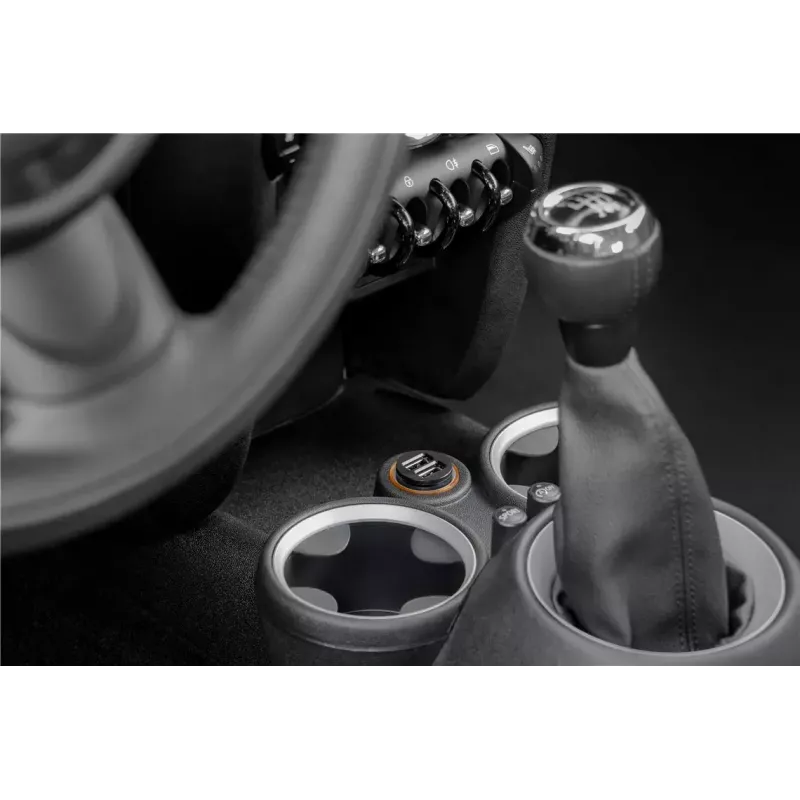 Car Charger Goobay Dual-USB 15.5 W