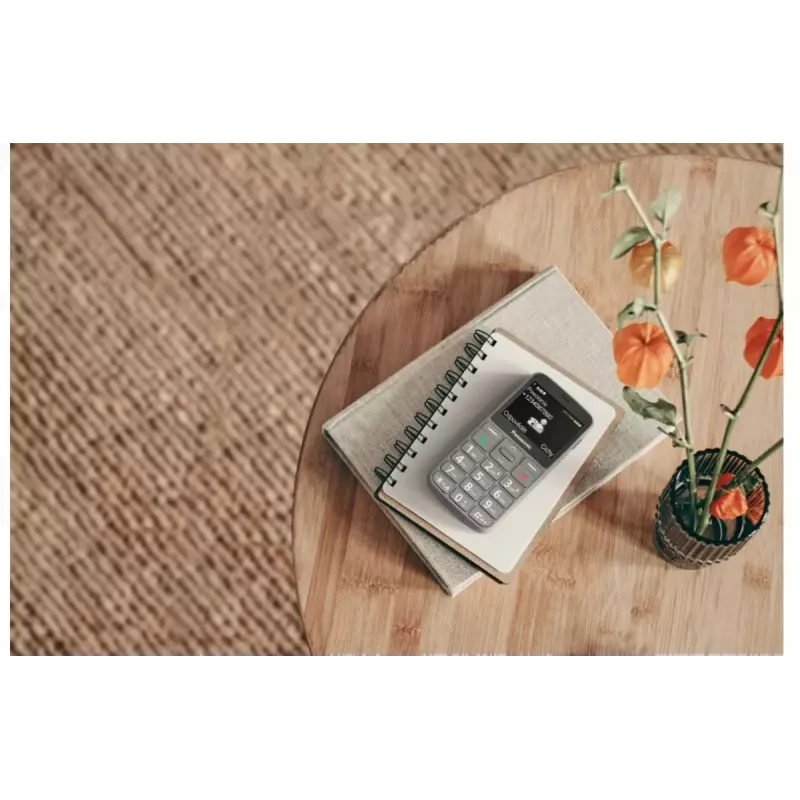 Mobile Phone Panasonic KX-TU160 2.4 inch
