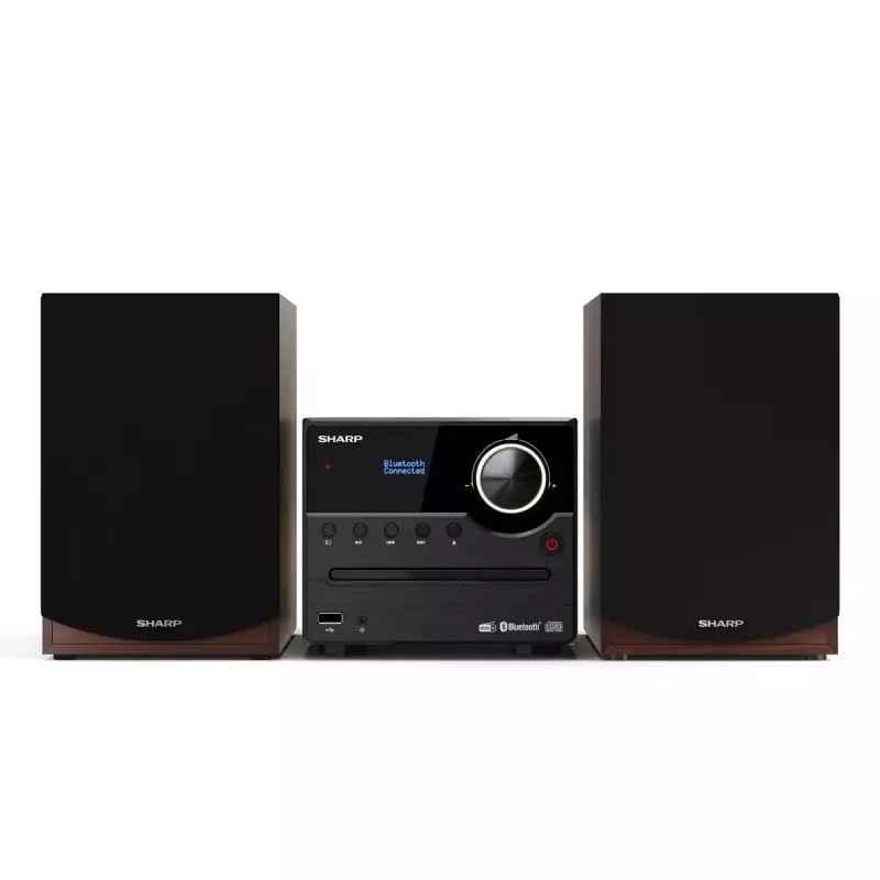 Sharp XL-B517D Home audio micro system 45 W Brown