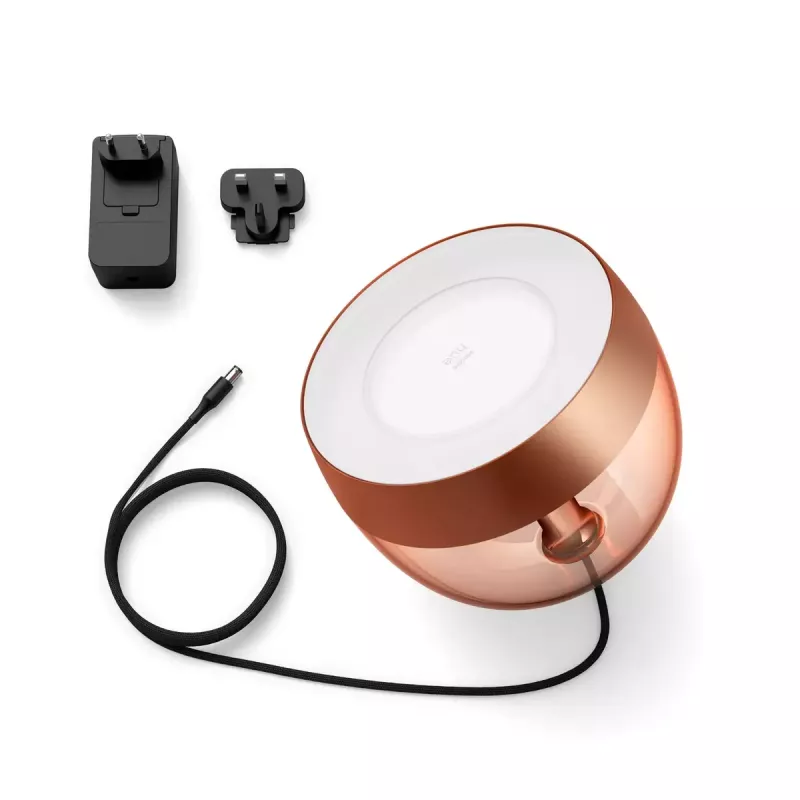 Smart table lamp Philips Hue Iris copper special edition — 1 bulb, Bluetooth and Zigbee, 100–240V, 2m cable