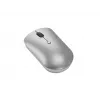 Wireless ambidextrous mouse Lenovo 540 — RF, 2400 DPI, 4 buttons, USB-C receiver, grey