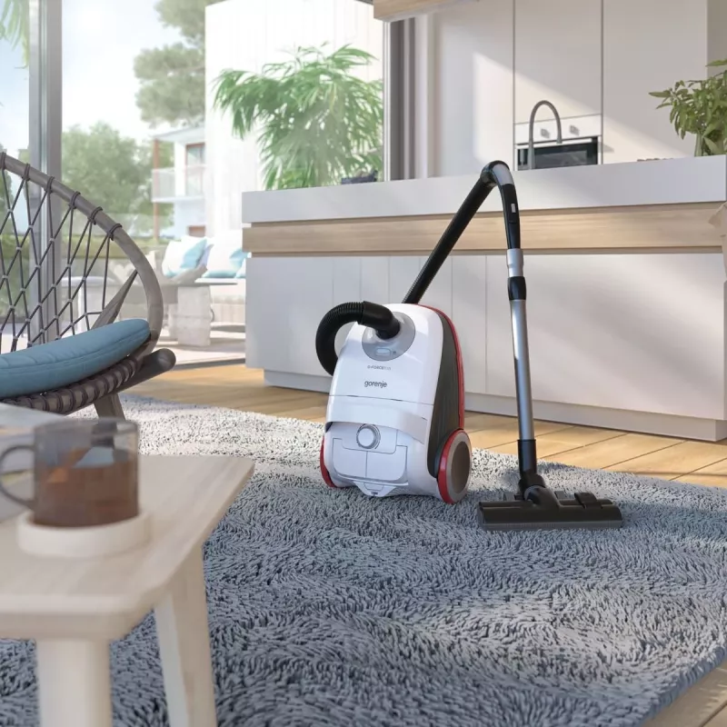 Cylinder vacuum Gorenje 678487 — 700 W, dry cleaning, 3 L dust bag, HEPA filter