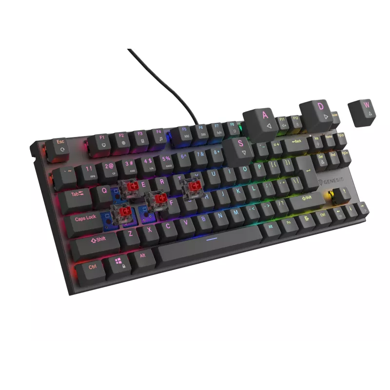 GENESIS Thor 303 TKL keyboard Gaming USB QWERTY Black RGB LED