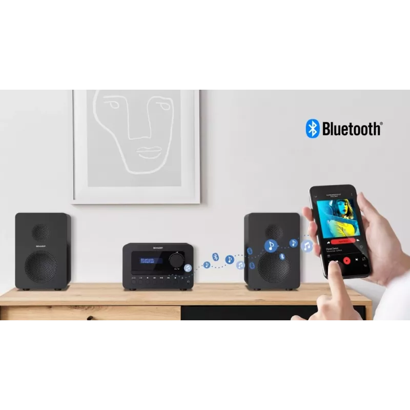 Sharp TOKYO DAB+ HI-FI Micro System Home audio micro system 40 W Black