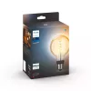 Smart bulb Philips G93 globe E27 — LED 7 W, Bluetooth & Zigbee, 95×150 mm