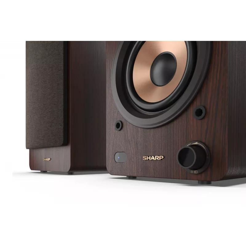 Sharp BOOKSHELF SPEAKERS 2-way Brown Wired & Wireless 60 W