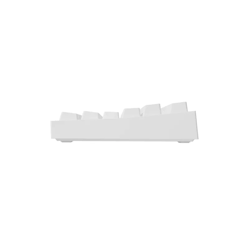 GENESIS Thor 404 TKL keyboard Gaming USB QWERTY US International White