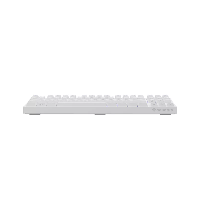 GENESIS Thor 404 TKL keyboard Gaming USB QWERTY US International White
