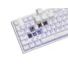 GENESIS Thor 404 TKL keyboard Gaming USB QWERTY US International White