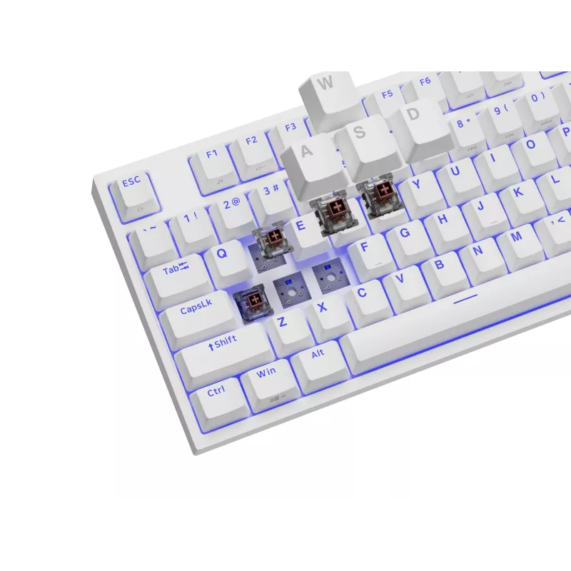 GENESIS Thor 404 TKL keyboard Gaming USB QWERTY US International White
