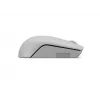 Wireless Lenovo Compact Mouse Arctic Grey — Ambidextrous, RF Wireless, 1000 DPI, 3 buttons, battery-powered