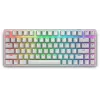 Alienware Pro Wireless Gaming keyboard USB + RF Wireless + Bluetooth White