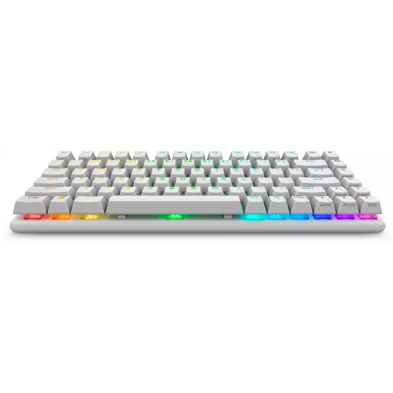 Alienware Pro Wireless Gaming keyboard USB + RF Wireless + Bluetooth White