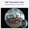IP security camera Reolink Fisheye P520 6MP dome, 2560×2560, 180° fisheye, PoE/DC, microSD up to 256 GB