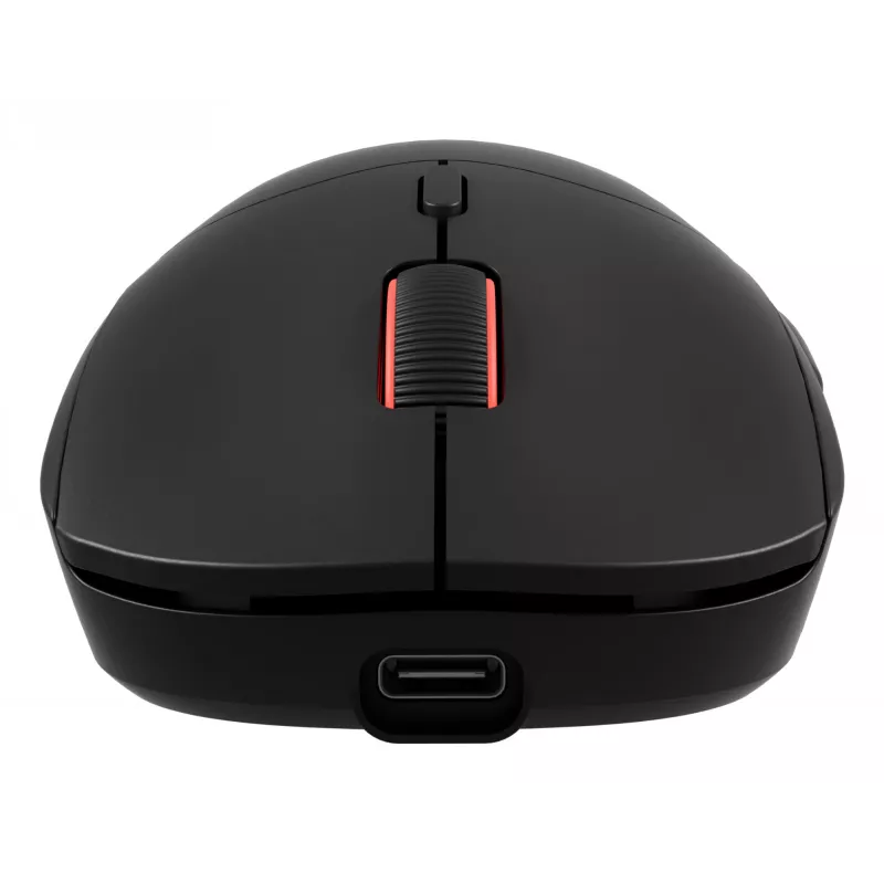 GENESIS Zircon XIII mouse Gaming Ambidextrous RF Wireless + USB Type-C Optical 26000 DPI