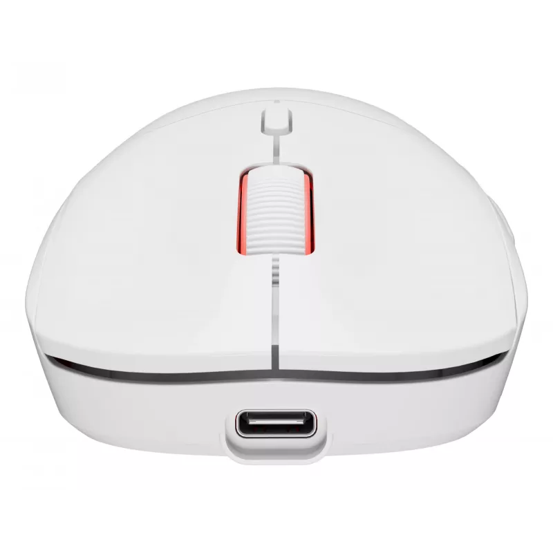 GENESIS Zircon XIII mouse Gaming Ambidextrous RF Wireless + USB Type-C Optical 26000 DPI