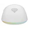 GENESIS Zircon XIII mouse Gaming Ambidextrous RF Wireless + USB Type-C Optical 26000 DPI