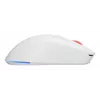 GENESIS Zircon XIII mouse Gaming Ambidextrous RF Wireless + USB Type-C Optical 26000 DPI