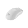 GENESIS Zircon 500 mouse Gaming Right-hand RF Wireless + Bluetooth + USB Type-C Optical 10000 DPI