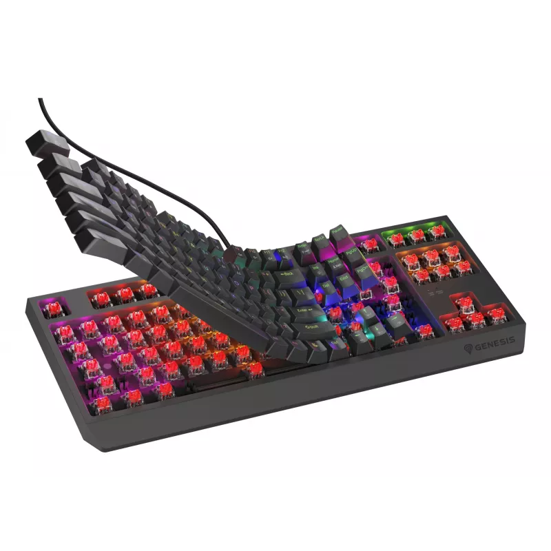 GENESIS Thor 230 TKL Lite keyboard Gaming USB QWERTY English Black