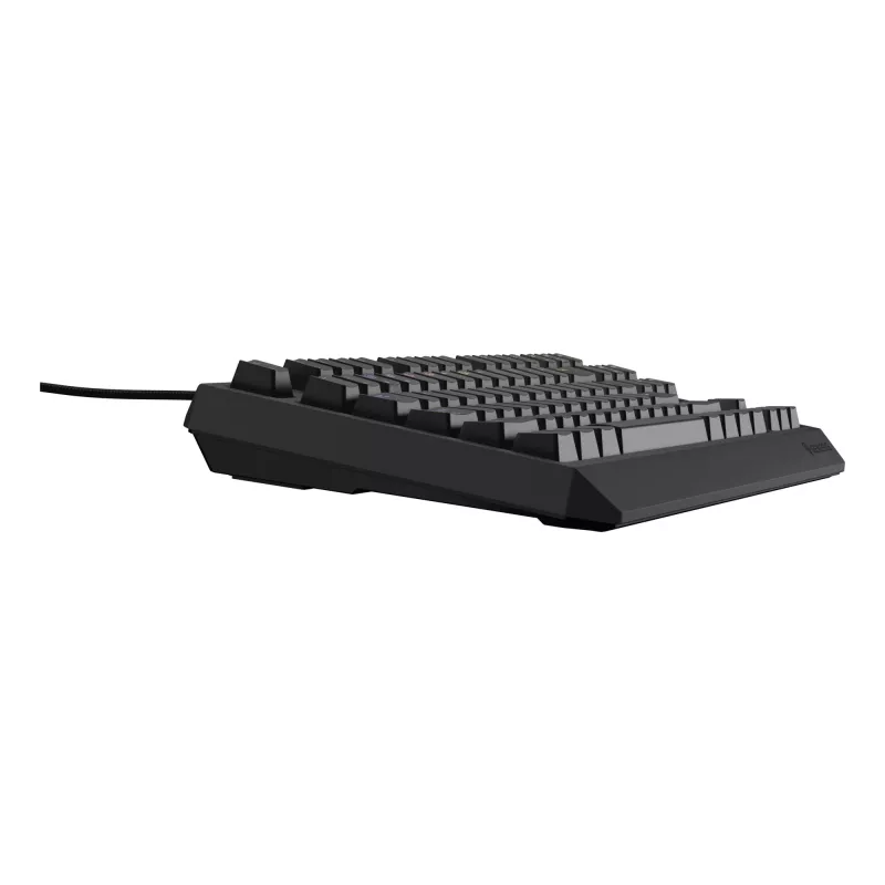 GENESIS Thor 230 TKL Lite keyboard Gaming USB QWERTY English Black