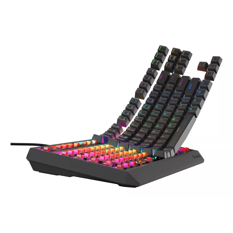 GENESIS Thor 230 TKL Lite keyboard Gaming USB QWERTY English Black