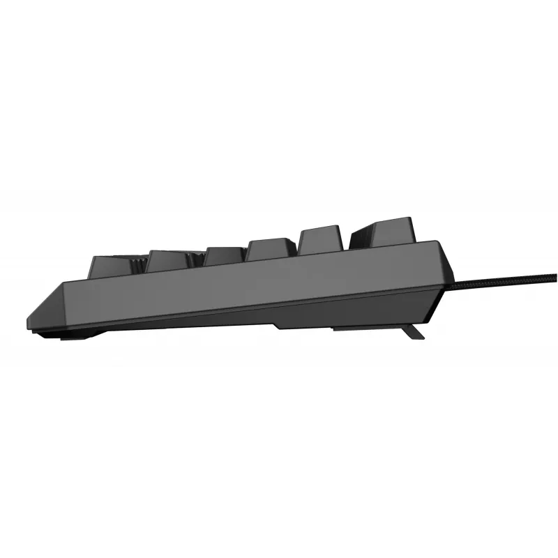 GENESIS Thor 230 TKL Lite keyboard Gaming USB QWERTY English Black