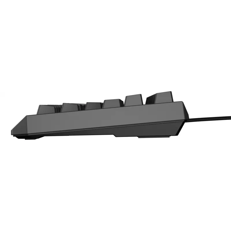 GENESIS Thor 230 TKL Lite keyboard Gaming USB QWERTY English Black