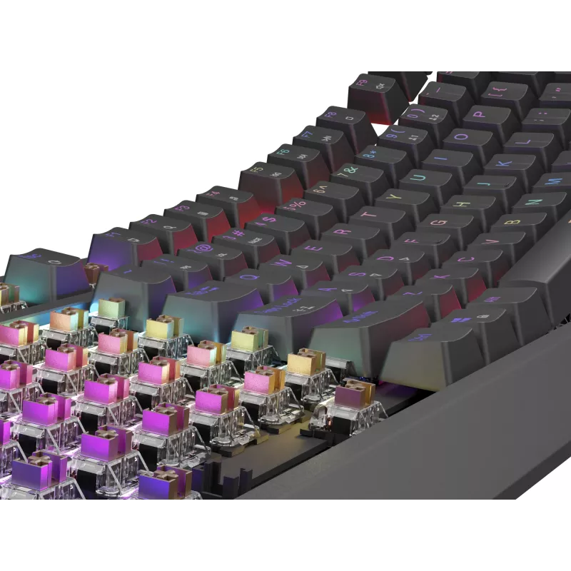 Mechanical gaming keyboard Genesis Thor 230 TKL — Tenkeyless, US QWERTY, Outemu Brown switches, RGB, 1000 Hz, USB