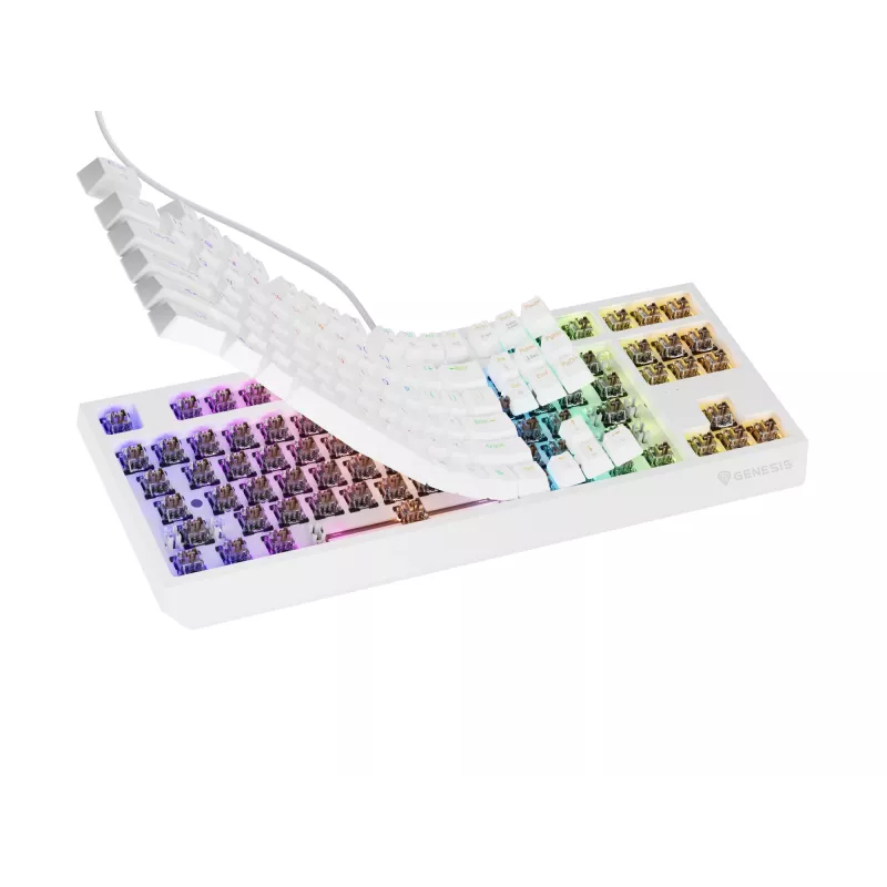 GENESIS Thor 230 TKL keyboard Gaming USB + RF Wireless + Bluetooth QWERTY White