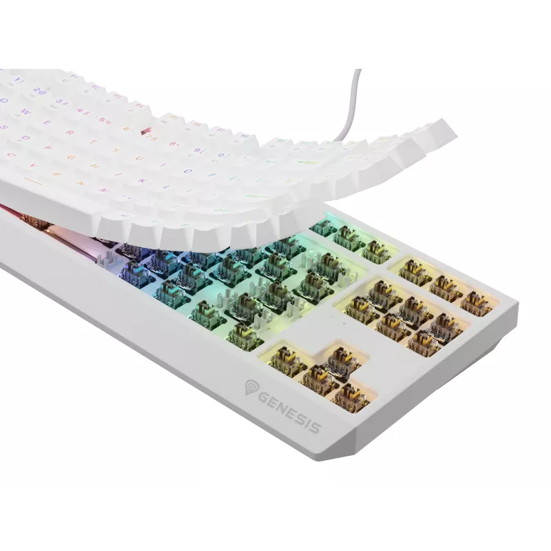 GENESIS Thor 230 TKL keyboard Gaming USB + RF Wireless + Bluetooth QWERTY White
