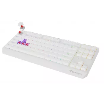 Tenkeyless gaming keyboard GENESIS Thor 230 TKL — USB, RF Wireless, Bluetooth, QWERTY, White