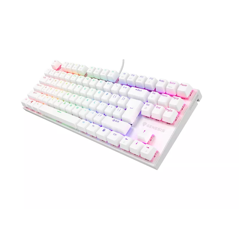 GENESIS Thor 303 TKL keyboard Gaming USB QWERTY US International White