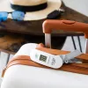 Luggage scale Adler AD 8189 — max 40 kg, accuracy 100 g, white