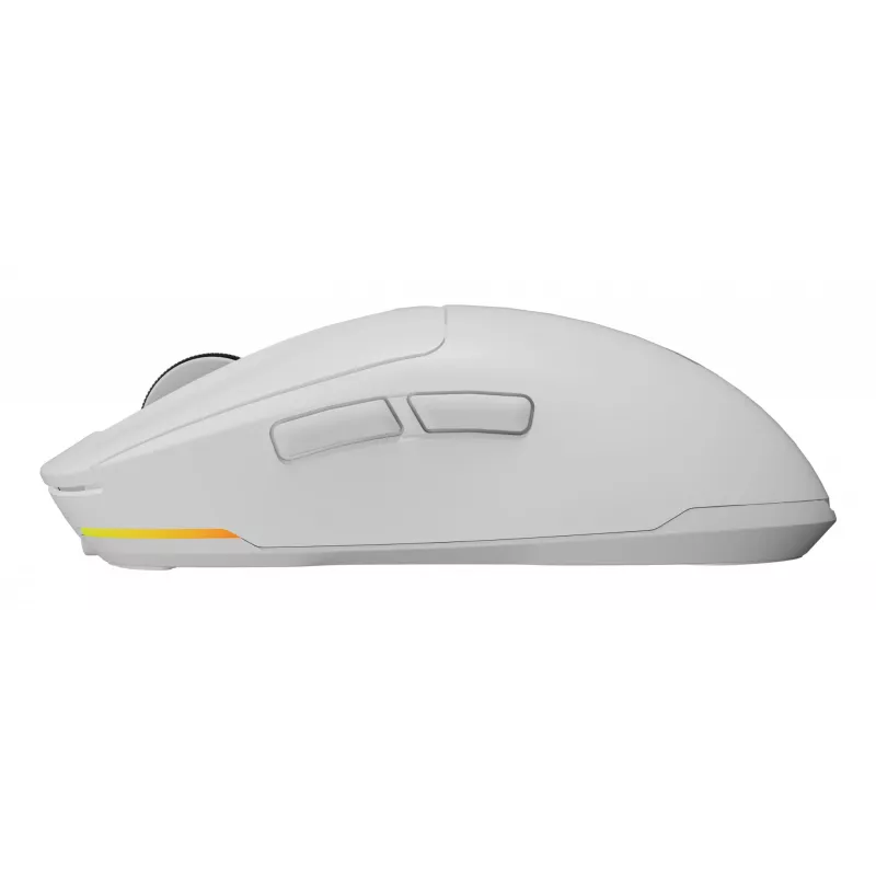 GENESIS NMG-2194 mouse Gaming Ambidextrous Bluetooth + USB Type-C Optical 26000 DPI